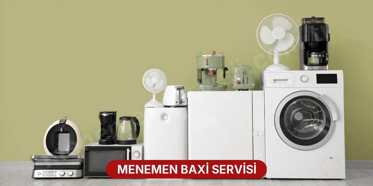 Menemen Baxi Servisi