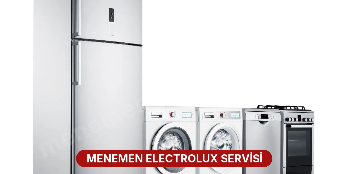 Menemen Electrolux Servisi