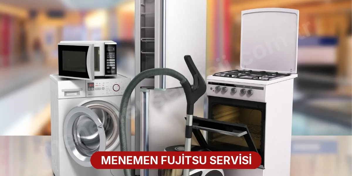 Menemen Fujitsu Servisi