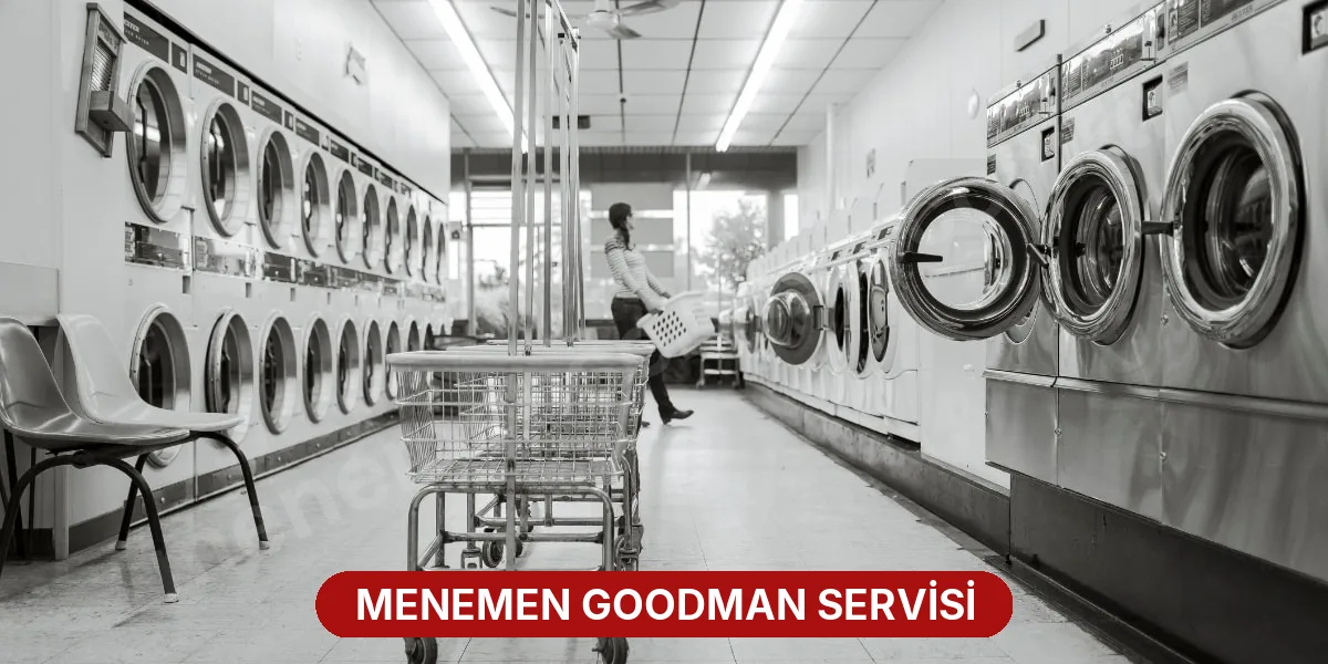 Menemen Goodman Servisi