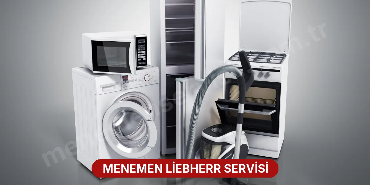 Menemen Liebherr Servisi