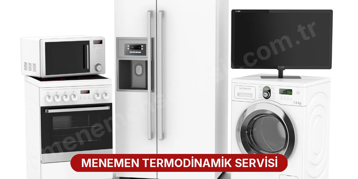 Menemen Termodinamik Servisi